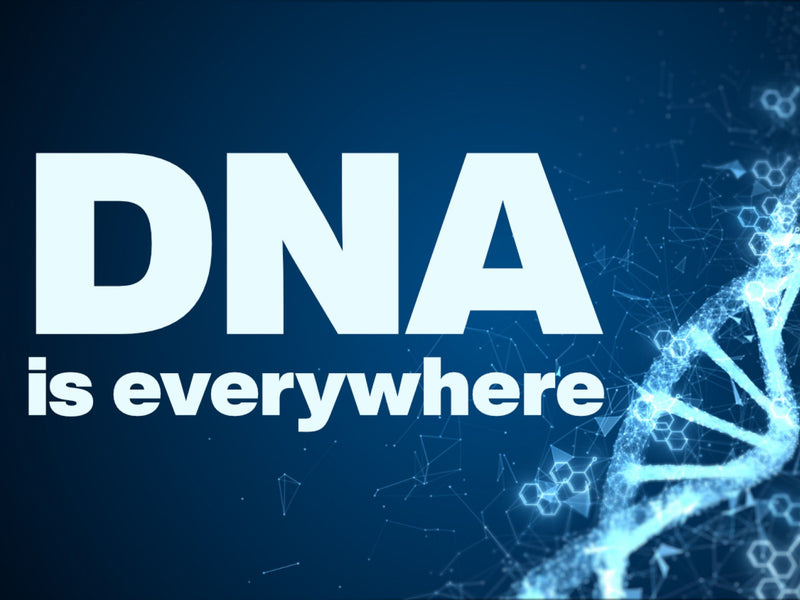 DNA is everywhere