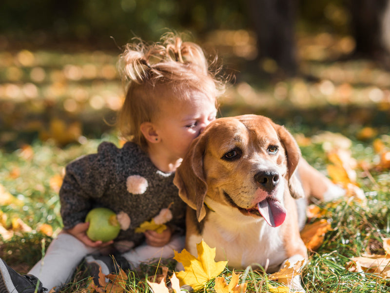 How to Support Your Child's Gut Health