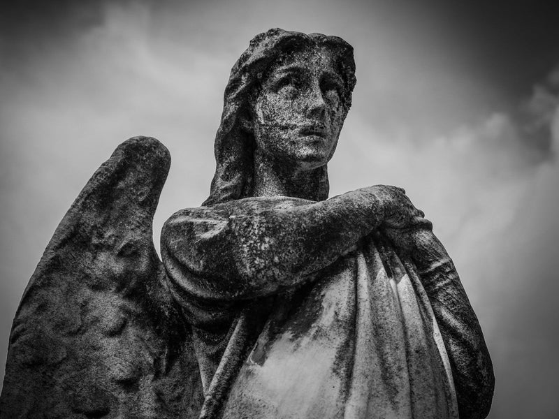 Tarmsundhed for nybegyndere